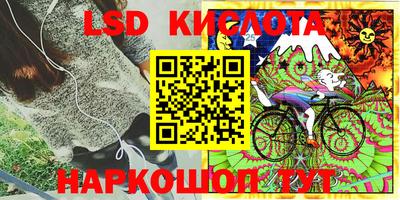 дмт Будённовск