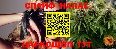 дмт Будённовск