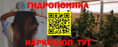 дмт Будённовск