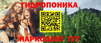дмт Будённовск