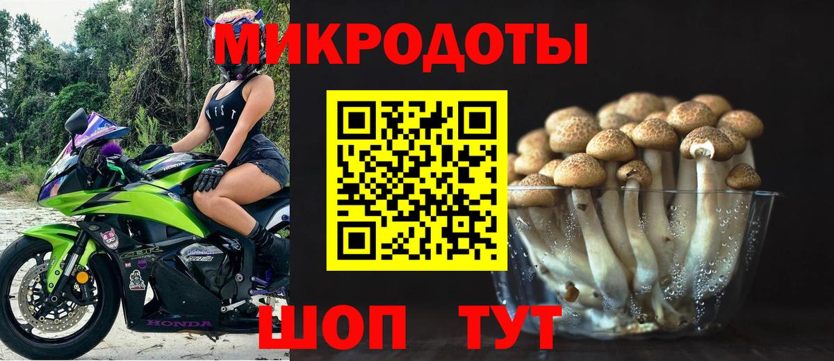 Галлюциногенные грибы MAGIC MUSHROOMS Миллерово